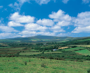 West Wales Countyside