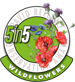 Wildflower Habitat Award 2019-2020